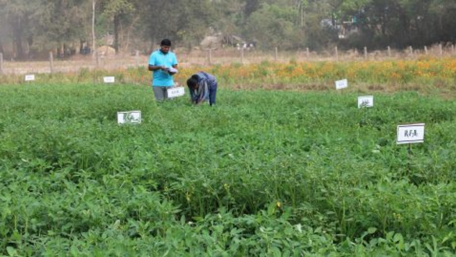 Certificate in Organic Farming