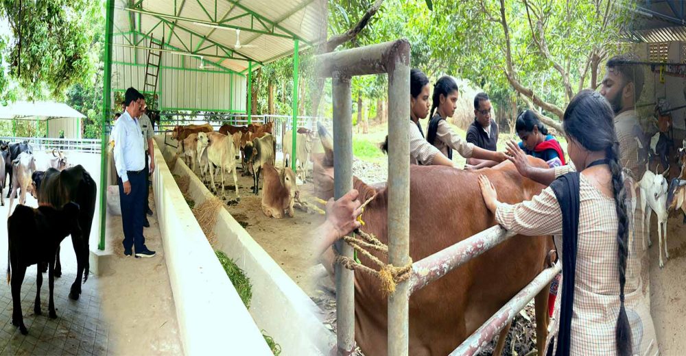 School of Veterinary and Animal Sciences